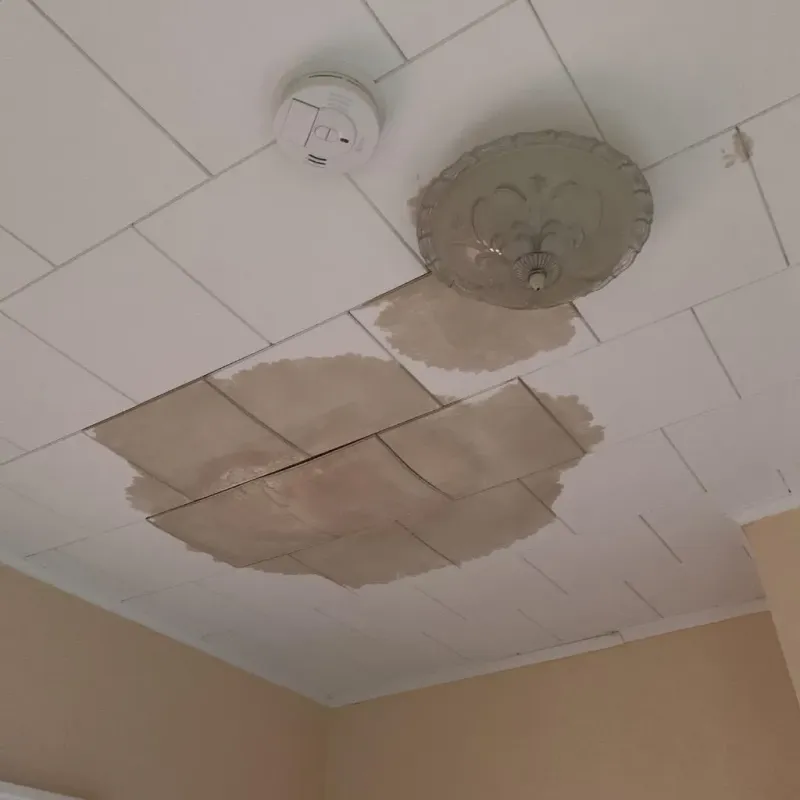 Ceiling Water Damage Repair in Owsley County, KY
