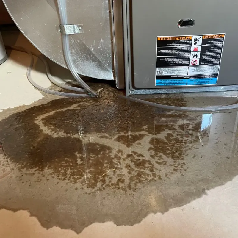 Pipe Burst and Leak Restoration in Owsley County, KY